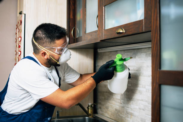 Best Affordable Pest Control Services  in Nice, CA