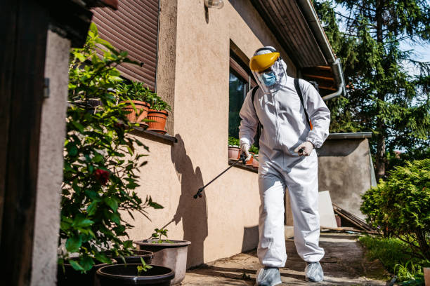 Best Commercial Pest Control Services  in Nice, CA