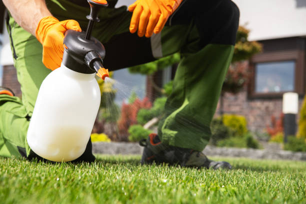 Best Pest Inspection Near Me  in Nice, CA
