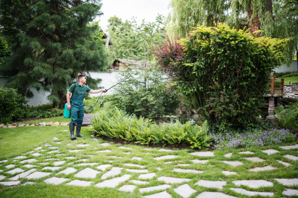 Best Commercial Pest Control Services  in Nice, CA