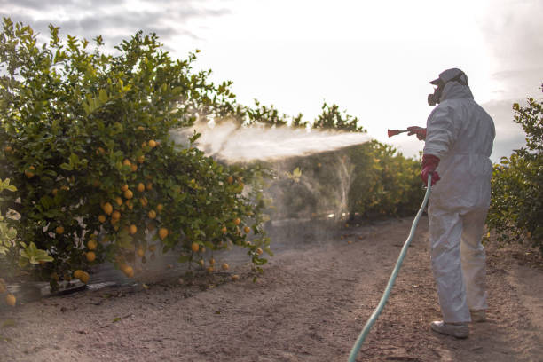 Best Wildlife Control Services  in Nice, CA