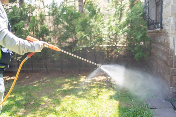  Nice, CA Pest Control Pros