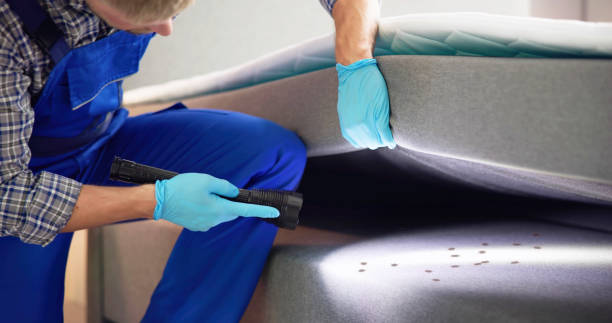 Best Termite Control Services  in Nice, CA