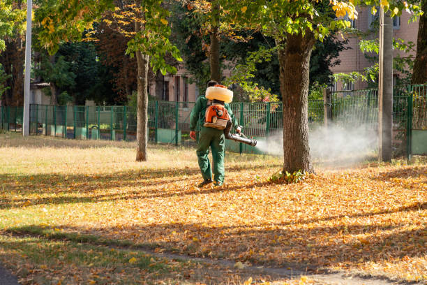 Best Pest Control Treatment  in Nice, CA