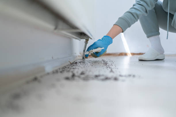 Best Wildlife Control Services  in Nice, CA